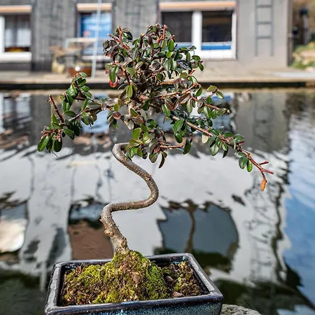 Am Teich Appartement